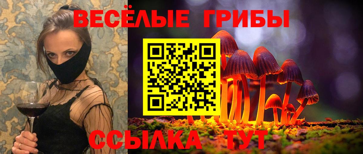 Галлюциногенные грибы мицелий Майкоп